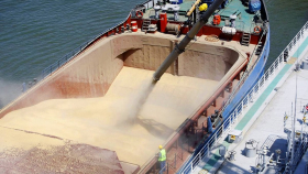 Экспортные цены на зерно в России продолжили укрепляться – обзор